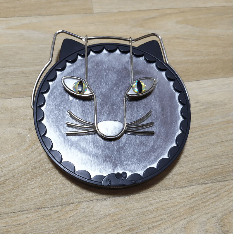 Miroir Chat Les Petits Vagabonds